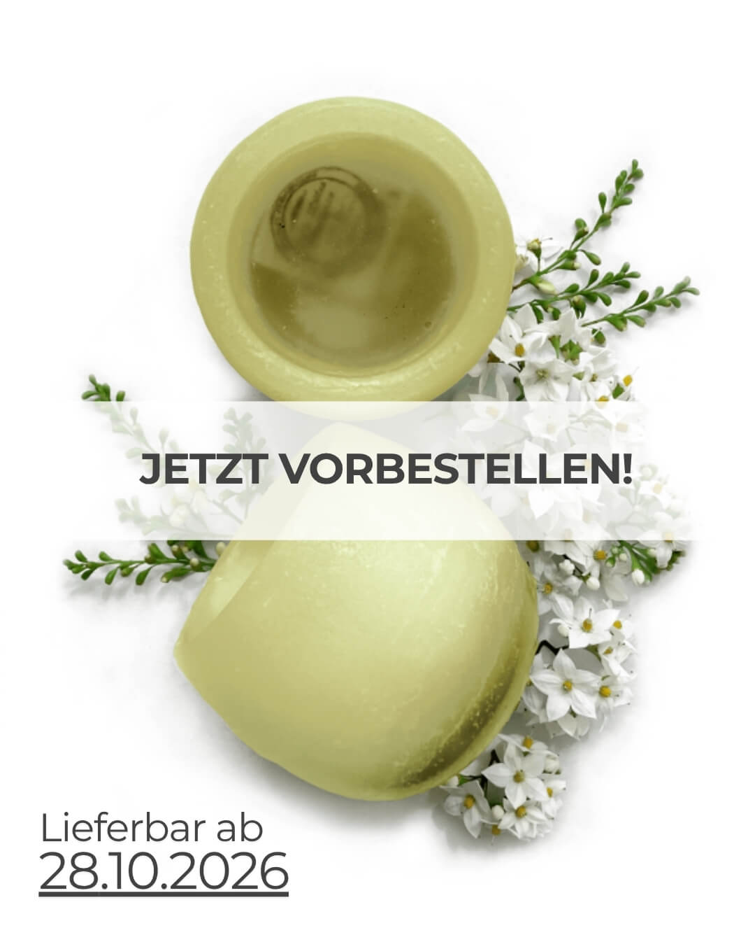 jasmin-vorbestellen
