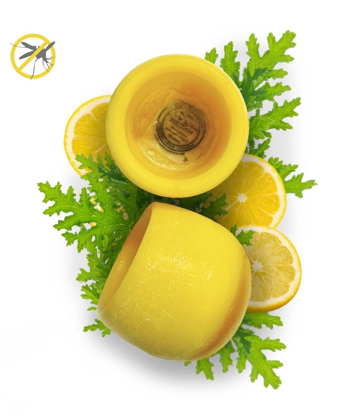candiles-duftwachs-citronella-neu
