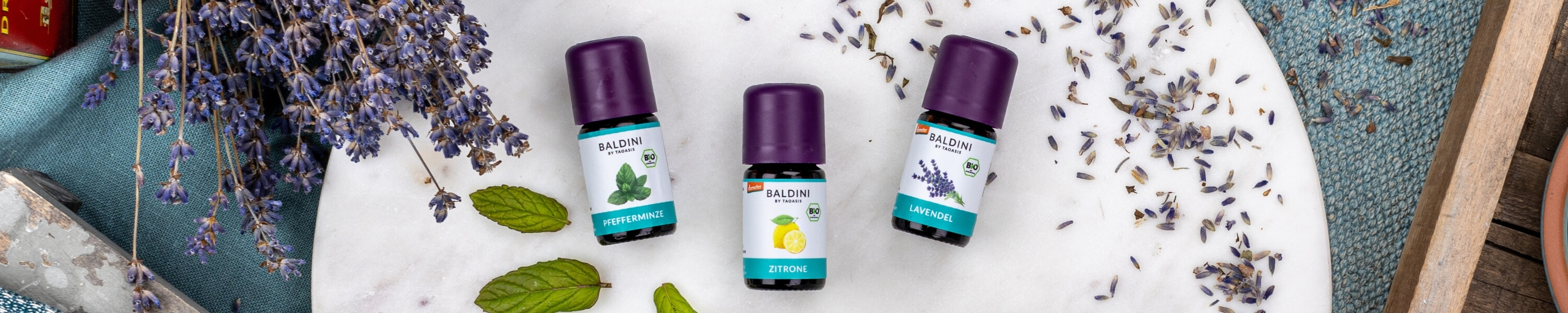 Header-Baldini-Desktop-neu