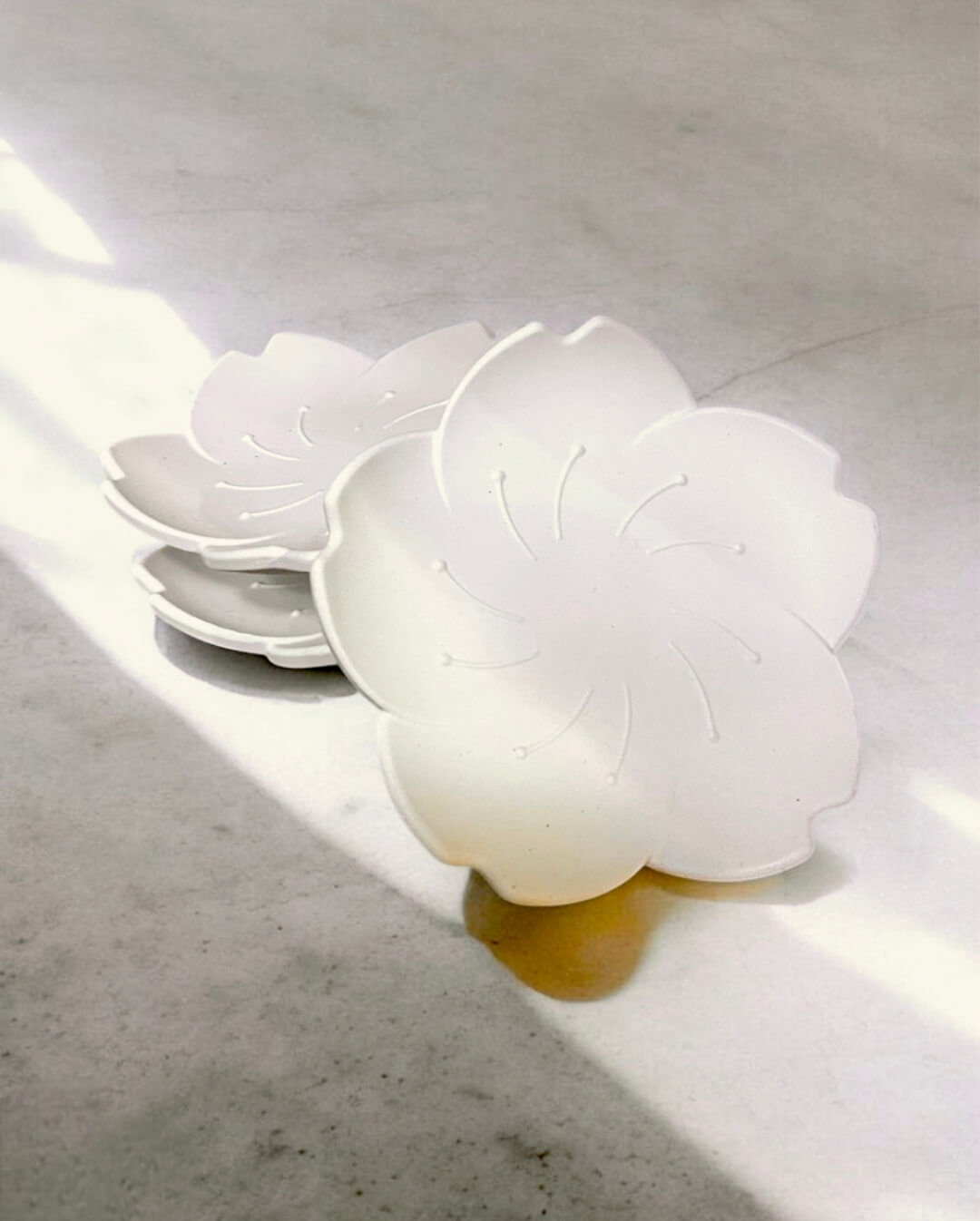 Blüten Untersetzer aus weißem Gips – stilvoller Schutz für Oberflächen Blüten Untersetzer aus weißem Gips – stilvoller Schutz für Oberflächen und perfekte Basis für Duftwachs