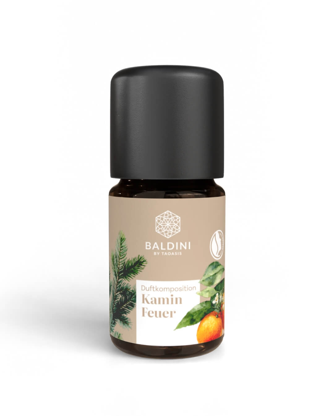 baldini-kaminfeuer