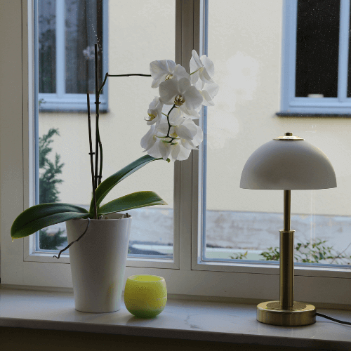 Candiles Duftwachs Dekoideen 3 Candiles Duftwachs Dekoideen 3